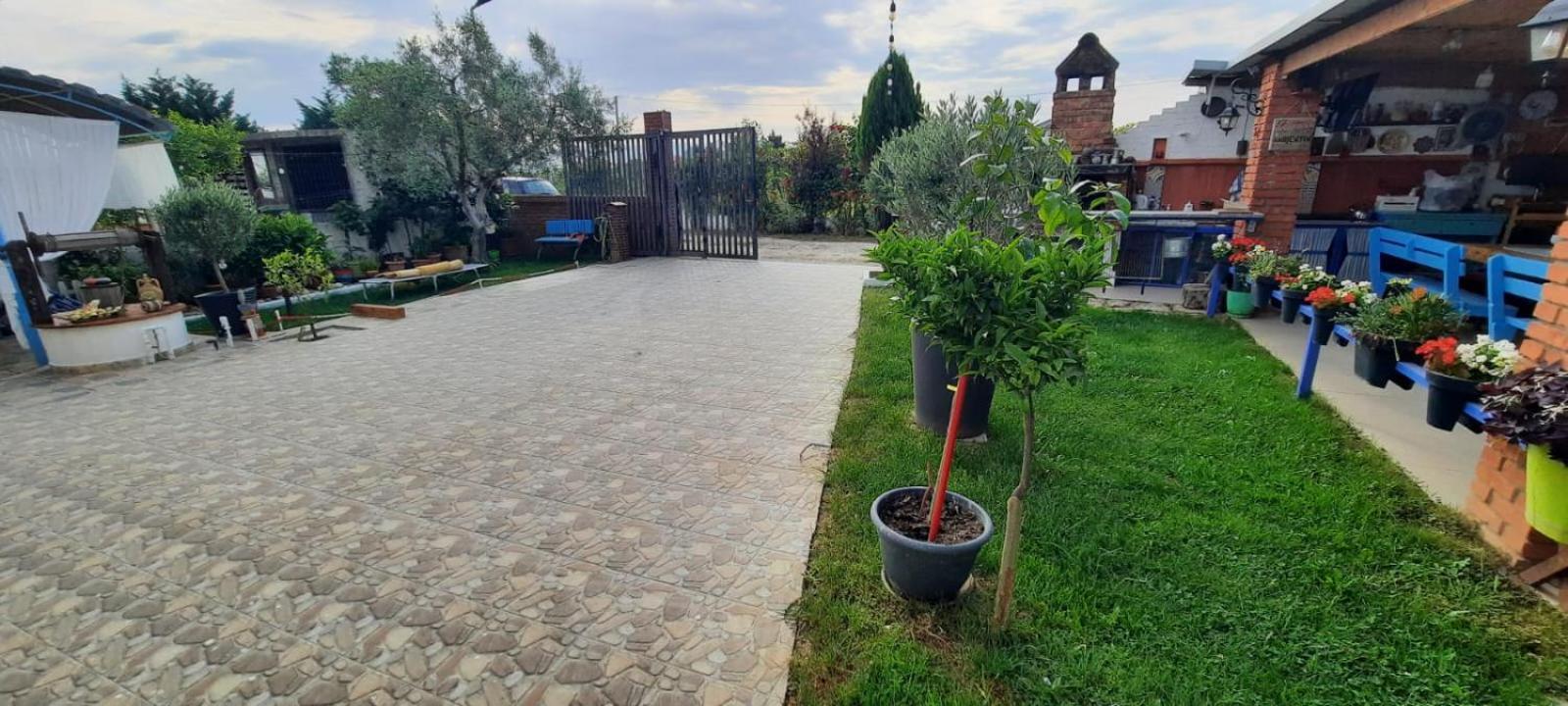 Vila Jone Golem  Exterior photo